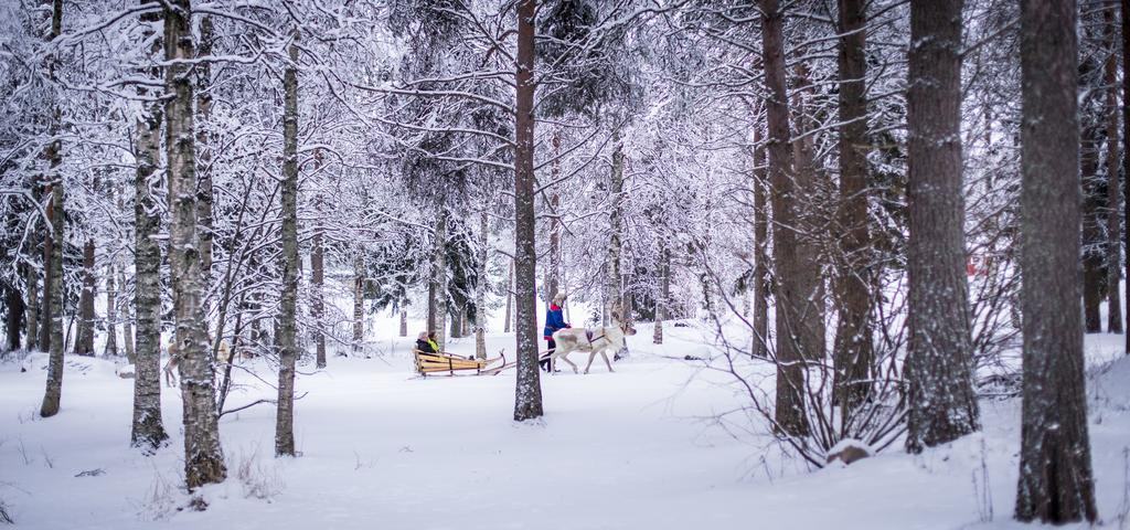 Lapland Igloo Hotel Ranua Exterior foto