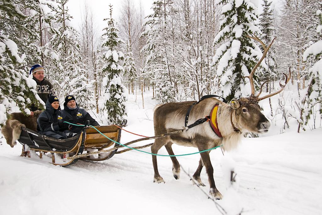 Lapland Igloo Hotel Ranua Exterior foto